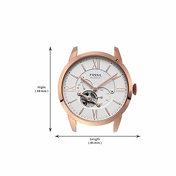 Amazon.co.jp: Fossil メンズ タウンズマン 自動巻き ステンレス
